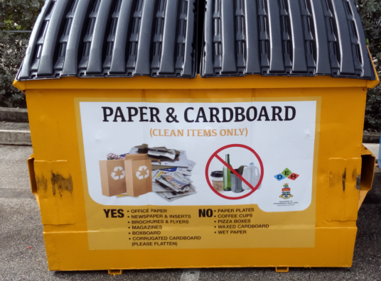 Paper and Cardboard